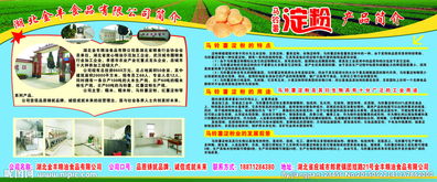 金豐食品圖片 解析食品經(jīng)營(yíng)中的視覺(jué)營(yíng)銷與合規(guī)管理